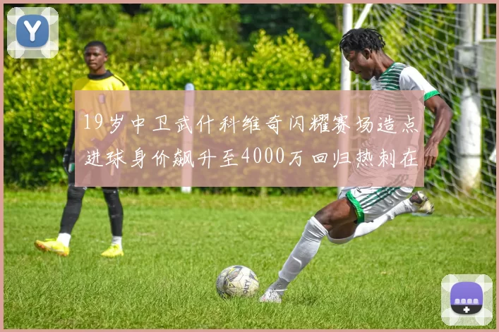 19岁中卫武什科维奇闪耀赛场造点进球身价飙升至4000万回归热刺在即
